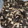 Chinese Morel Mushroom/ Dried Morel/ Morchella Conica